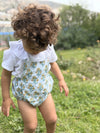 Ranita de rayas azules con flor amarilla Girasol